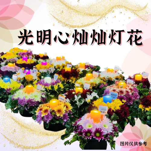 V14-光明心灿灿灯花